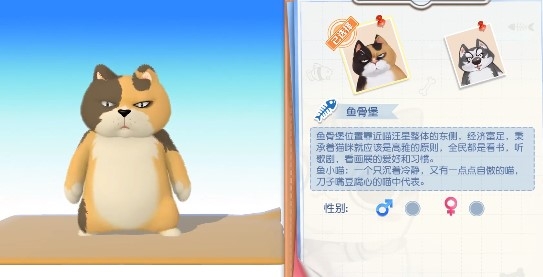 约战吧喵测试服