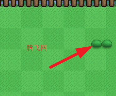 泰拉之园最新版TerraLawn