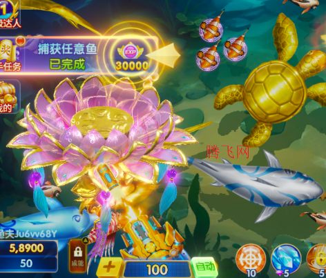 捕鱼海岛爆金版