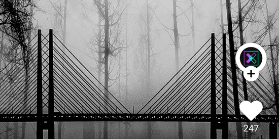 Walli 4K壁纸App官方版