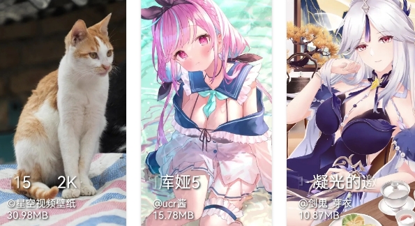 星空动态视频壁纸去广告去升级版 星空动态视频壁纸去广告去升级版