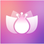 木莲相机app最新版