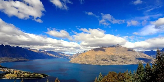 清早相机app最新版 清早相机app最新版