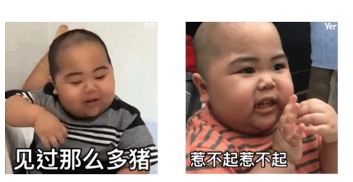 表情助手app官方版