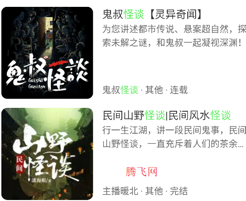 轻云听书国际版app