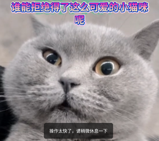 快手大屏版最新版本