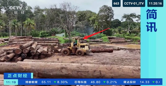 猫TV影视美刷版最新版