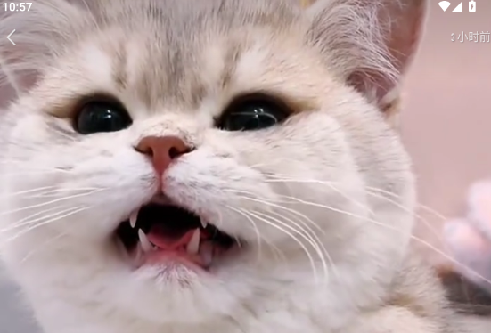 快手大屏版最新版本