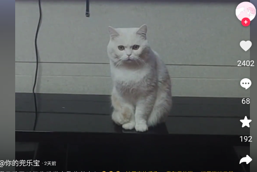 抖音web端登录版