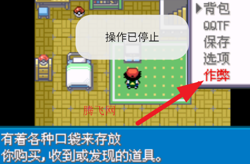 口袋妖怪圣灰汉化最终版内置菜单版