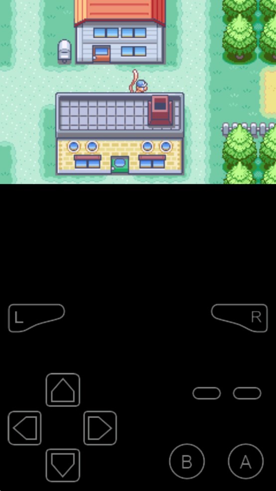 口袋妖怪皓石火伊布版3