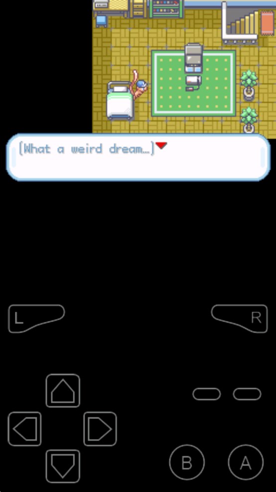 口袋妖怪皓石火伊布版4