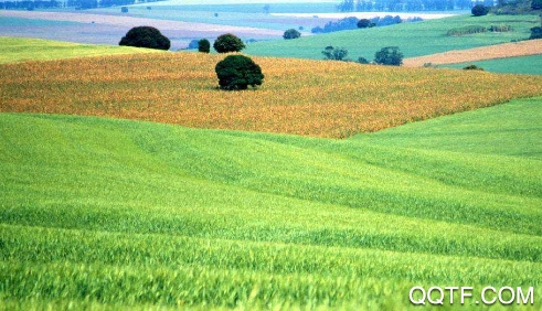 事农农机助手app安卓版