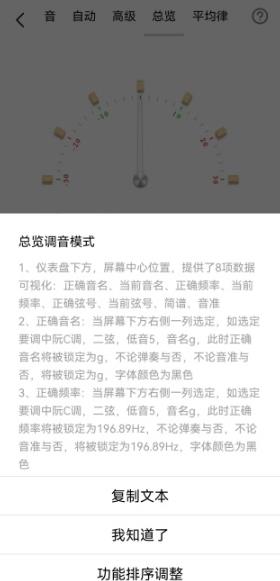 中阮调音器手机版