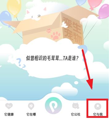 帕奇宠智能项圈app