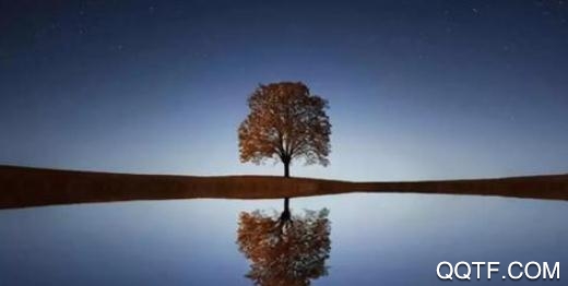 刷圈兔2021微信最新版