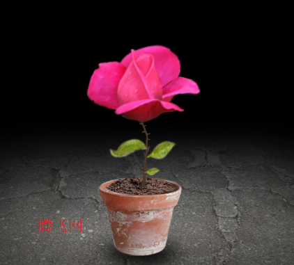 开局一颗种子游戏手机版