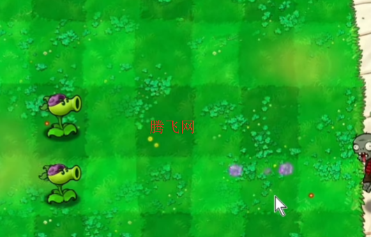 植物大战僵尸废物版直装版