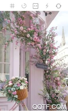 GirlsCam全贴纸破解版版