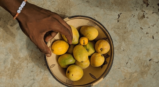 谷歌图库app官方版