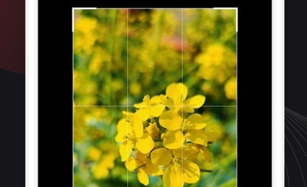 制作视频王app官方版 制作视频王app官方版