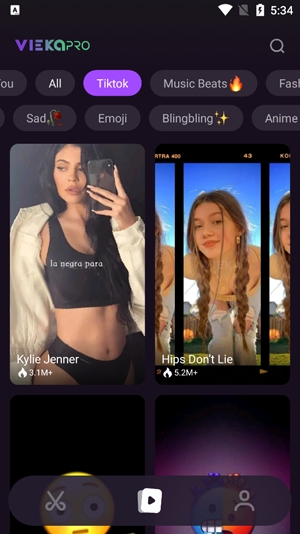 Vieka音乐视频编辑器破解版
