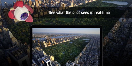 大疆荔枝航拍软件安卓版(Litchi Vue)