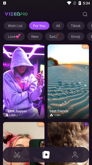 Vieka音乐视频编辑器破解版