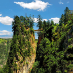 康养漳县手机客户端