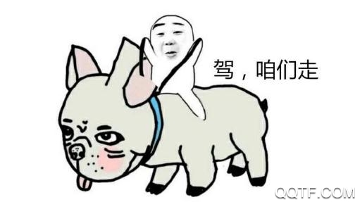 搞笑大王app最新版下载