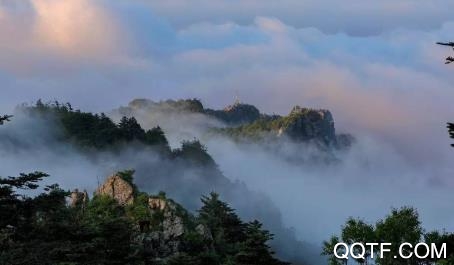 云上松滋app官方版