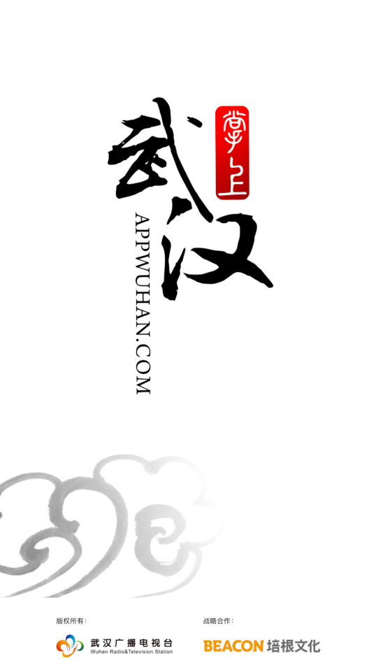 掌上武汉app电视问政平台0