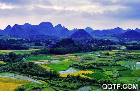 看道州app手机客户端