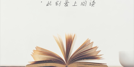 文徒小说app官方版