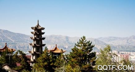 新临洮客户端最新版