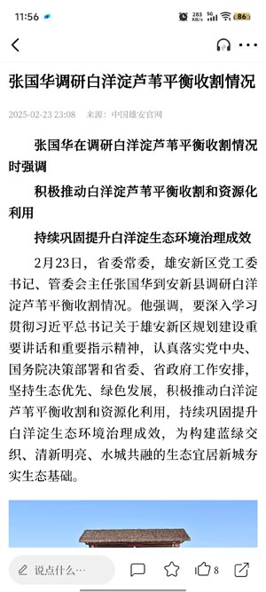 雄安客户端App最新版