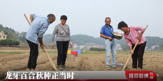 隆回发布app官方版