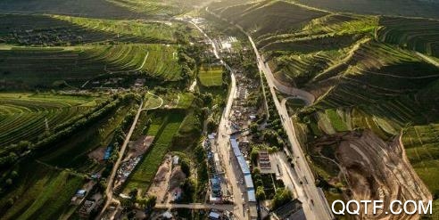 新通渭app安卓版 新通渭app安卓版