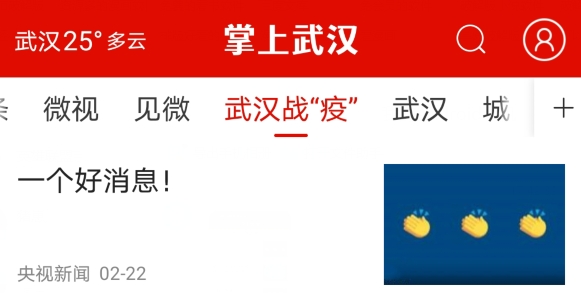 掌上武汉app电视问政平台