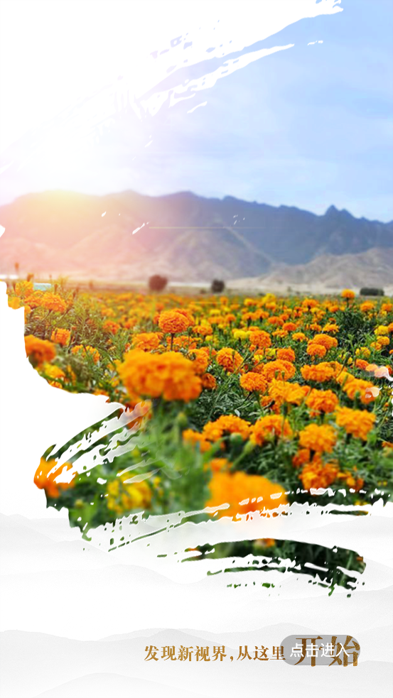 眼界新闻app官方版1