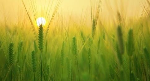 寻乐壁纸app手机版 寻乐壁纸app手机版