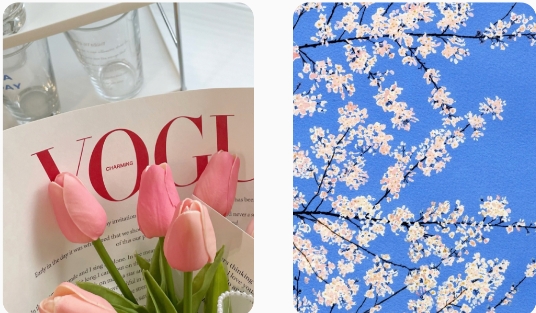 小池免费手机壁纸图片app官方版