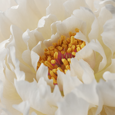 能量魔方壁纸app