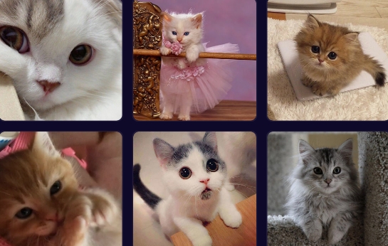 潮流头像社app官方版 潮流头像社app官方版