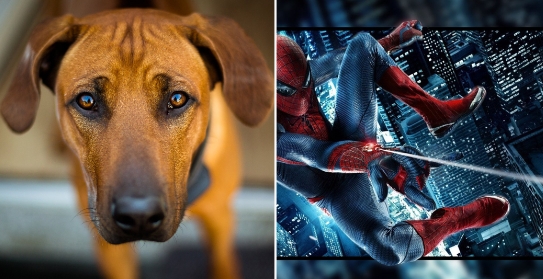 高清10000 壁纸app官方版