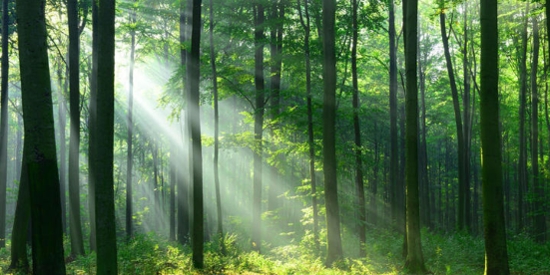 光点壁纸app官方版 光点壁纸app官方版