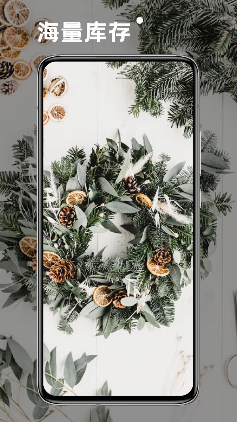 神仙壁纸app官方版1