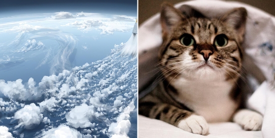 高清10000 壁纸app官方版