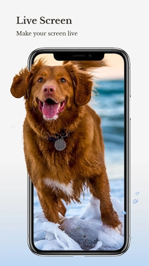 高清壁纸中心app最新版(HD Wallpaper Hub) 高清壁纸中心app最新版(HD Wallpaper Hub)