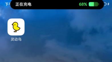 灵动鸟APP最新版